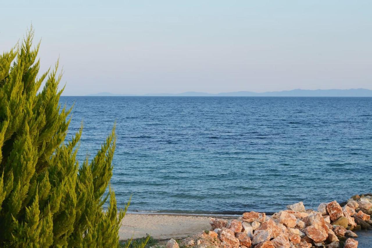 Lemon Beach Front Apartment, Nikiti Esterno foto